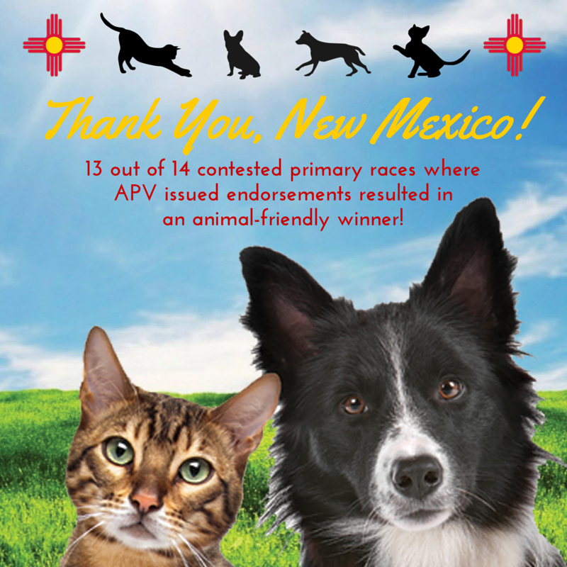Who Votes for Animals? New Mexico Does: 2016 Primary Election Results
