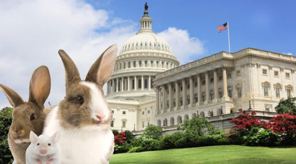 U.S. Senator Udall achieves huge chemical safety reform! Here’s why that’s good news for laboratory animals.