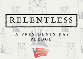 A Presidents Day Pledge