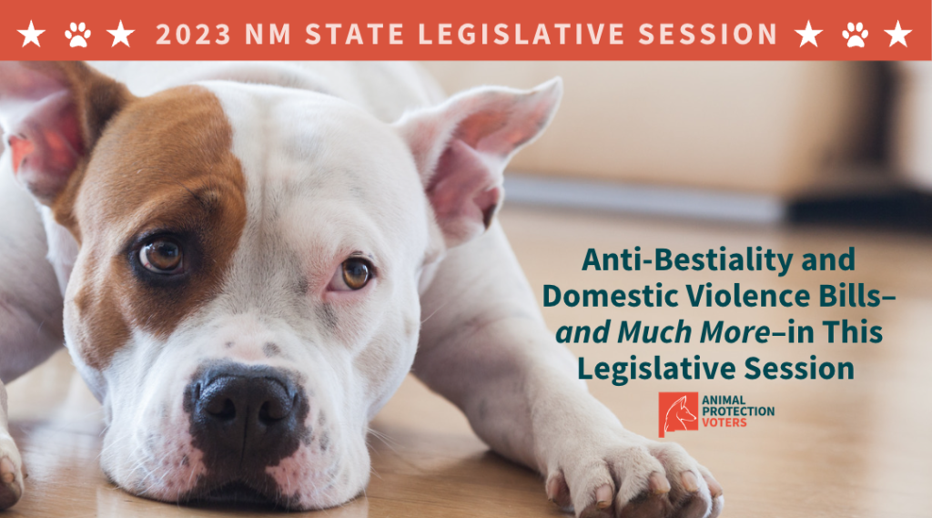 Anti-Bestiality and Domestic Violence Bills Introduced Will Provide Important Protections for New Mexico Animals