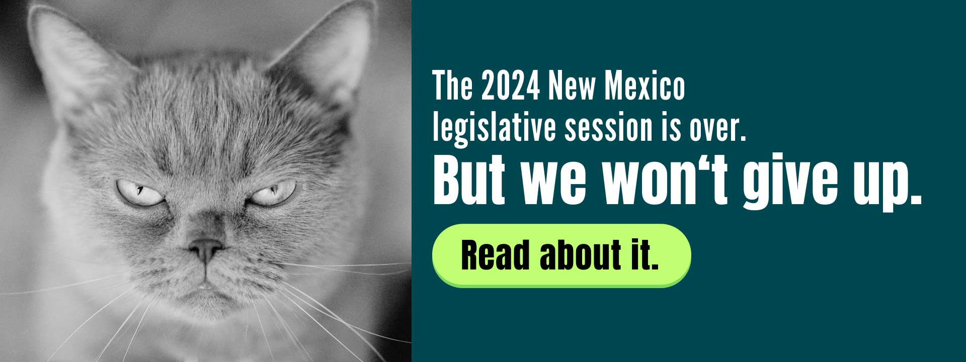 The 2024 New Mexico legislative session is over. But we won't give up.