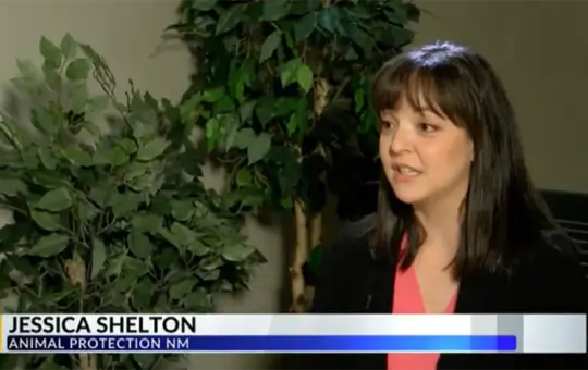 Did you see us on the news? Millions of dollars of spay/neuter program funding hangs in the balance.