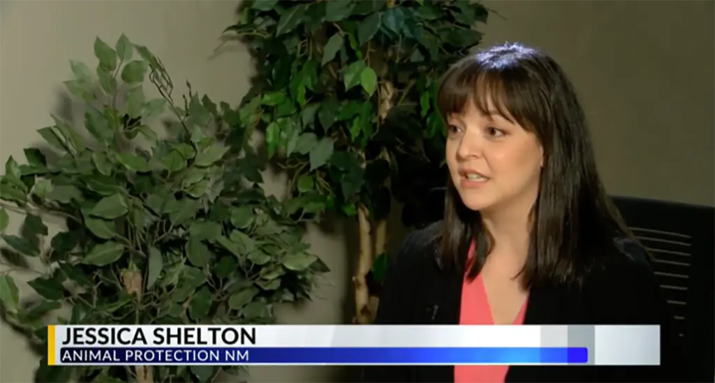 Did you see us on the news? Millions of dollars of spay/neuter program funding hangs in the balance.