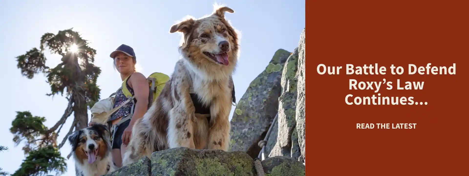 Judge Dismissed Bad Lawsuit to Overturn “Roxy’s Law”—But the Battle Continues Judge Dismissed Bad Lawsuit to Overturn “Roxy’s Law”—But the Battle Continues