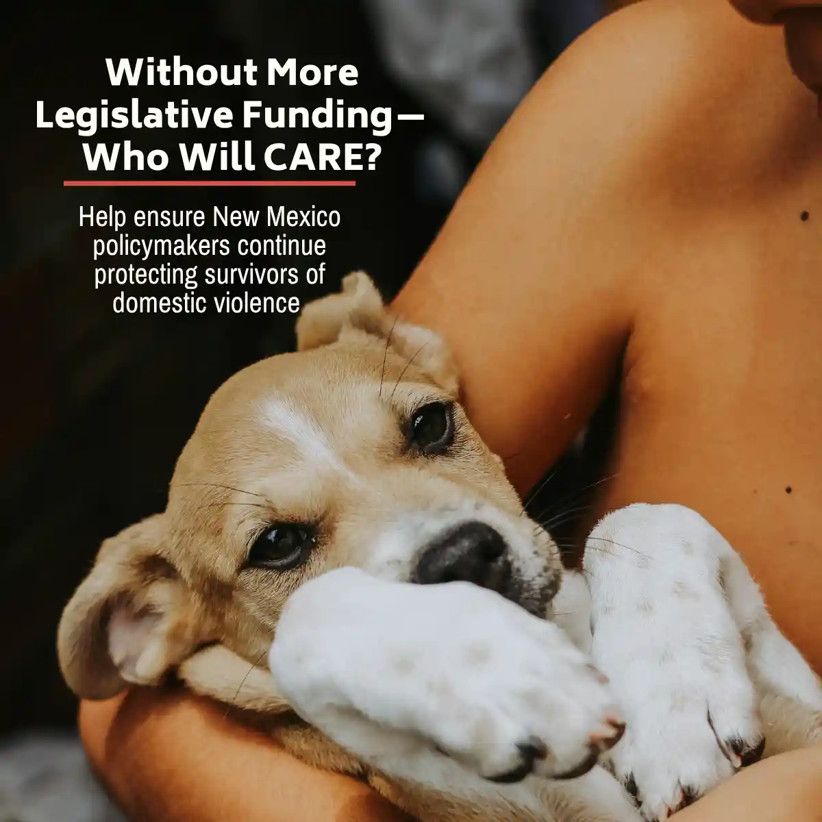 Without More Legislative Funding-Who Will CARE? Help ensure New Mexico policymakers continue protecting survivors of domestic violence Without More Legislative Funding-Who Will CARE? Help ensure New Mexico policymakers continue protecting survivors of domestic violence