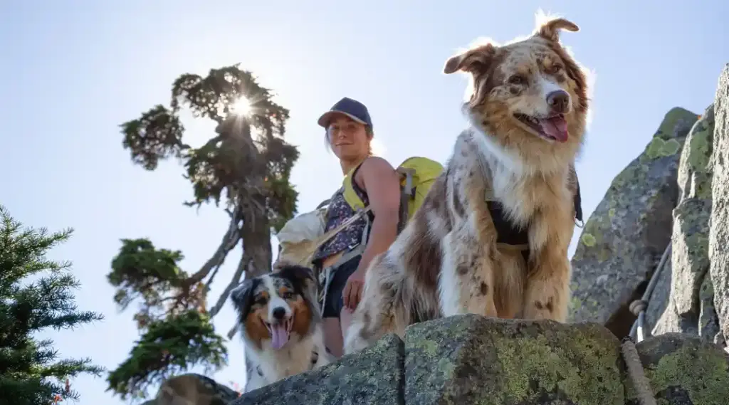 Judge Dismissed Bad Lawsuit to Overturn “Roxy’s Law”—But the Battle Continues