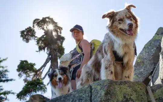 Judge Dismissed Bad Lawsuit to Overturn “Roxy’s Law”—But the Battle Continues