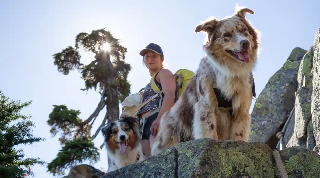 Judge Dismissed Bad Lawsuit to Overturn “Roxy’s Law”—But the Battle Continues