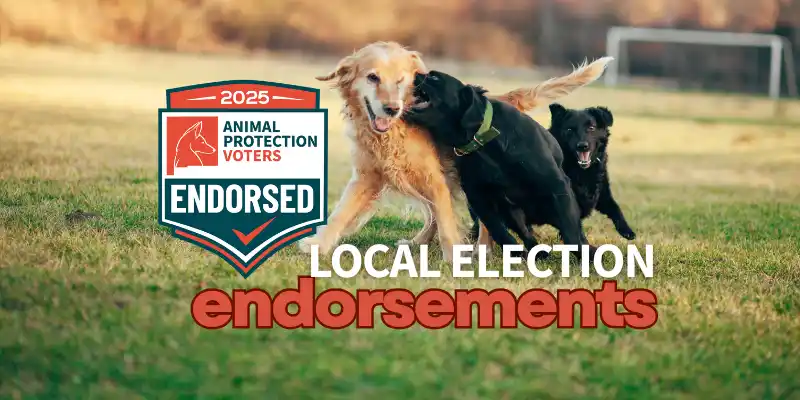 APV Announces 2025 New Mexico Local Election Endorsements