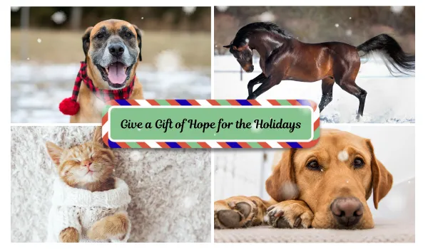 Holiday Donation
