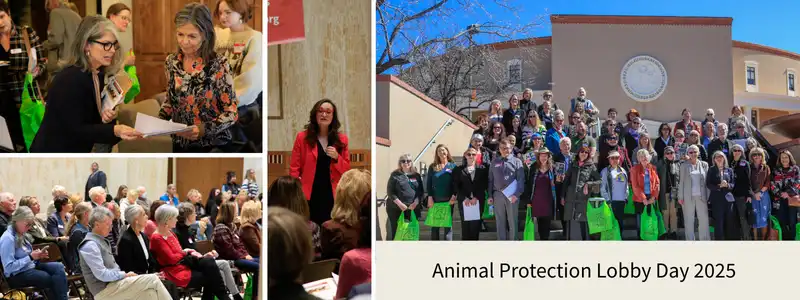 Animal Protection Lobby Day 2026 Sponsorship