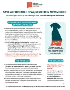 Affordable SpayNeuter Handout cover