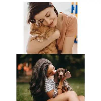 Continue CARE Funding for Domestic Violence Survivors