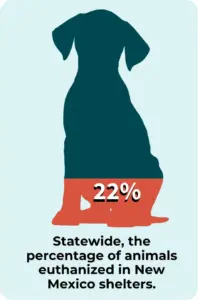 The percentage of animals euthanized in New Mexico shelters, due to lack of space and resources.