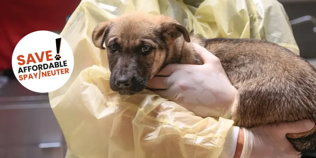 Saving the Law to Save Their Lives