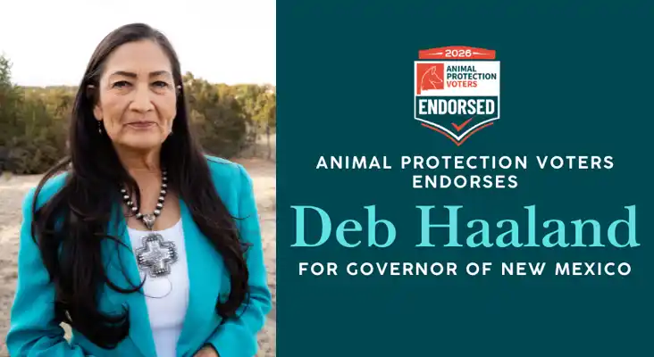 Press Release – Animal Protection Voters (APV) announced endorsement of Deb Haaland for New Mexico Governor in the 2026 election.