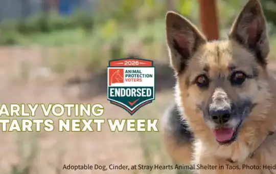 New Mexico’s 2026 General Election is right around the corner, with early voting beginning October 6th and General Election Day on November 3rd