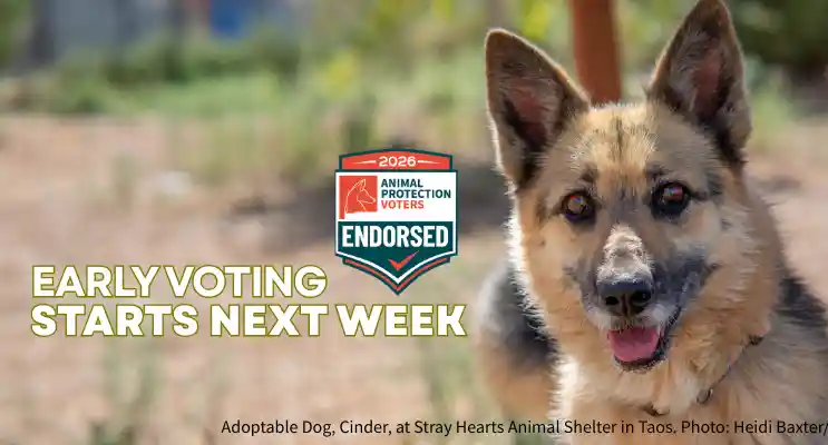 New Mexico’s 2026 General Election is right around the corner, with early voting beginning October 6th and General Election Day on November 3rd